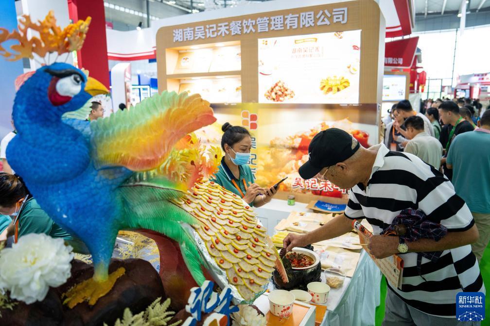 龙八娱乐登录