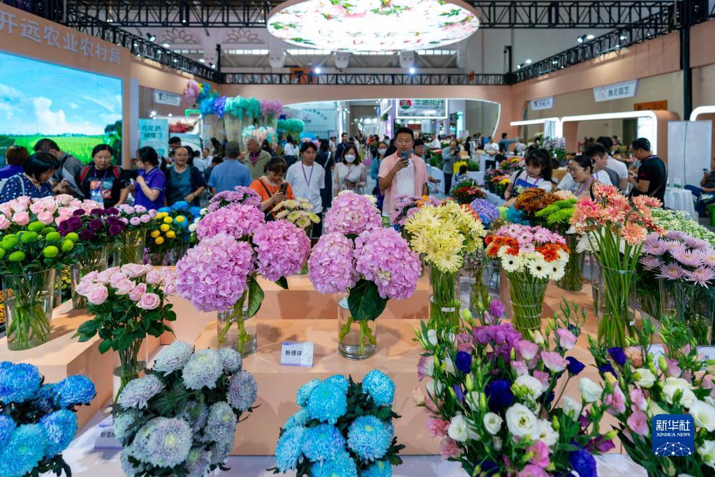申搏138娱乐
